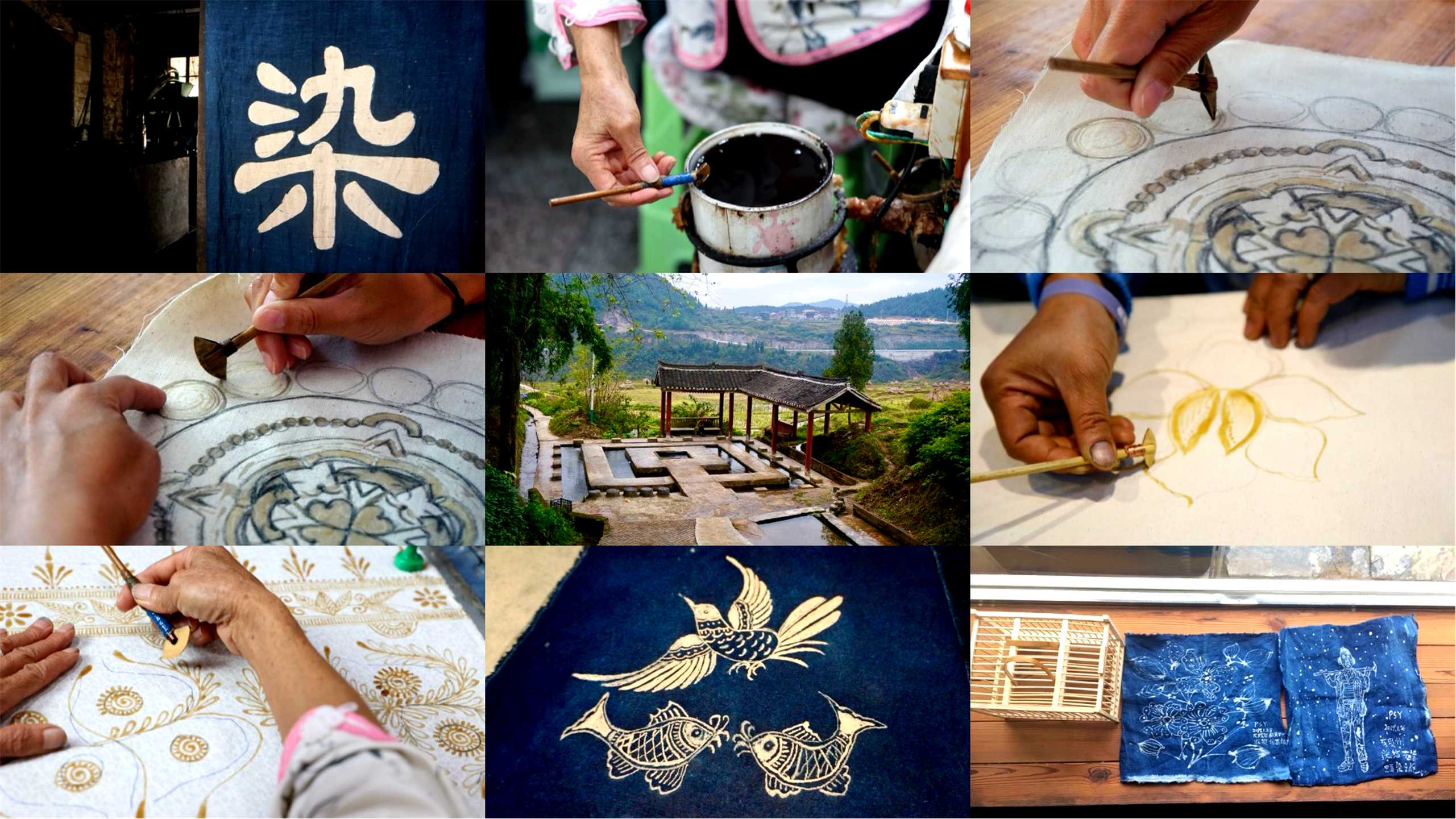 Program Overview Collage